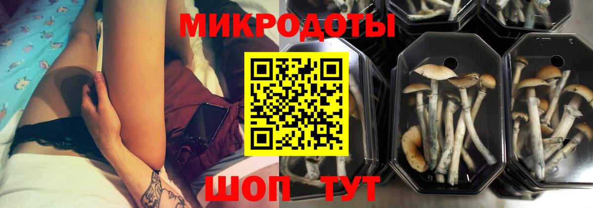 Галлюциногенные грибы мухоморы  Псилоцибиновые грибы ЛСД  Киселёвск  где купить наркотик  Вход с VPN 